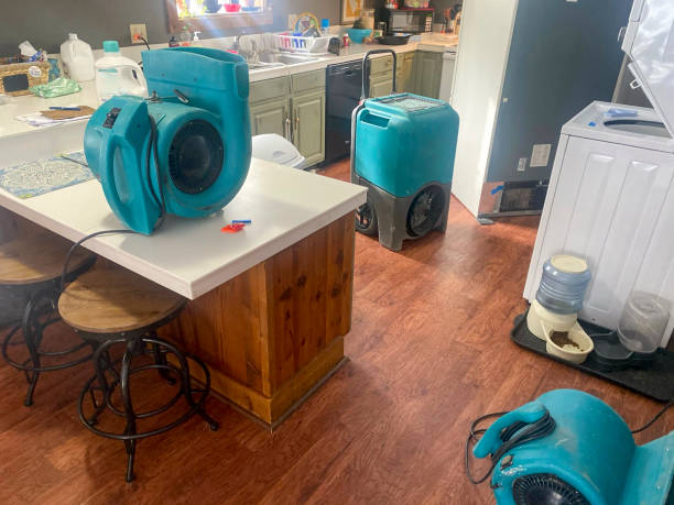 Best Mold removal after water damage  in Laughlin, NV