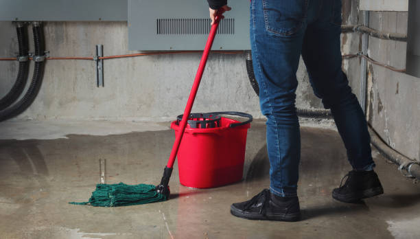 Best Basement water damage restoration  in Laughlin, NV
