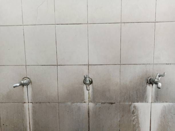 Best Sewage cleanup and water damage restoration  in Laughlin, NV