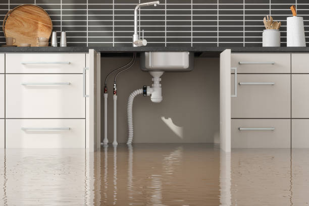 , NV Water damage restoration Company