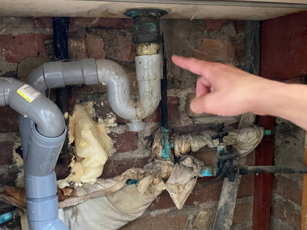 Best Water damage restoration near me  in Laughlin, NV