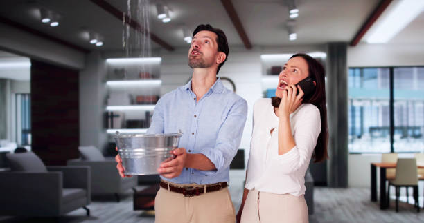 Best 24-hour water damage restoration  in Laughlin, NV